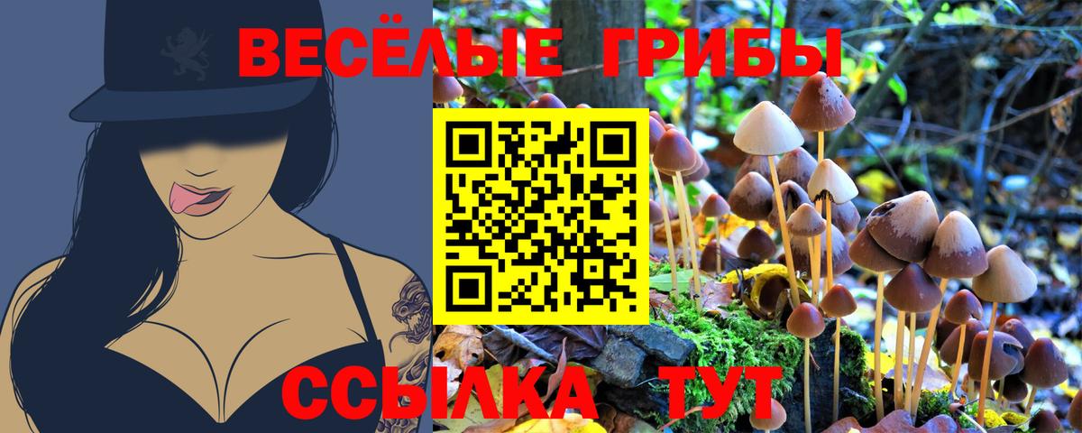 Галлюциногенные грибы прущие грибы Лабытнанги